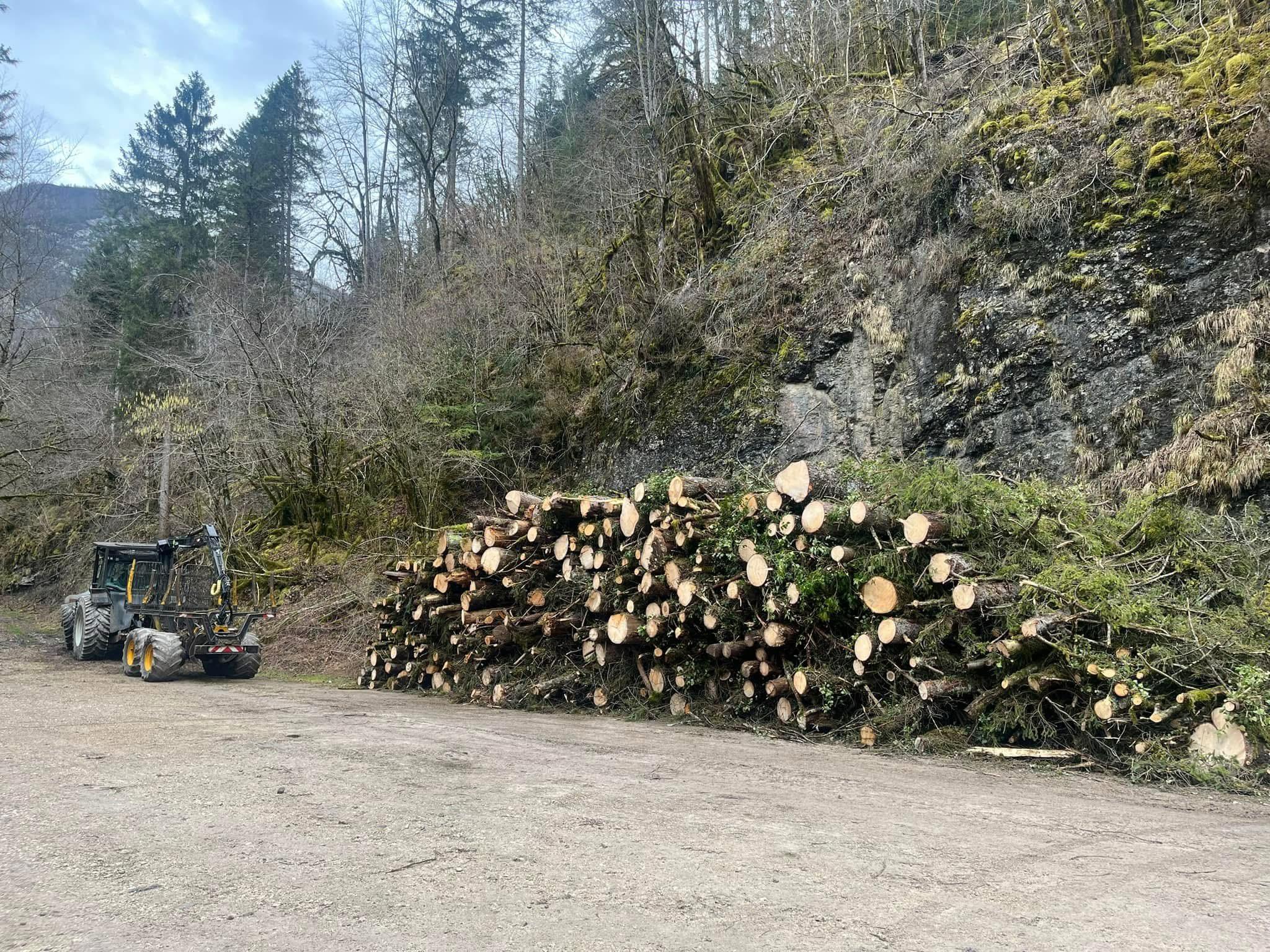 Débardage de bois dans le Jura — SAS POLYVIER